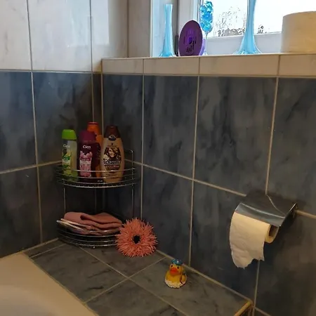 Schoene Grosse Im Mittelrheintal Nahe Loreley