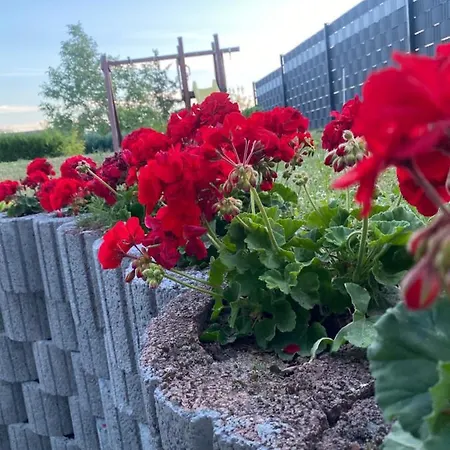 Apartamento Schoene Grosse Im Mittelrheintal Nahe Loreley *