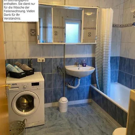 Schoene Grosse Im Mittelrheintal Nahe Loreley Bornich