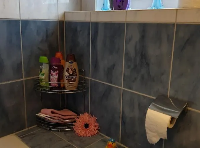 Schoene Grosse Im Mittelrheintal Nahe Loreley