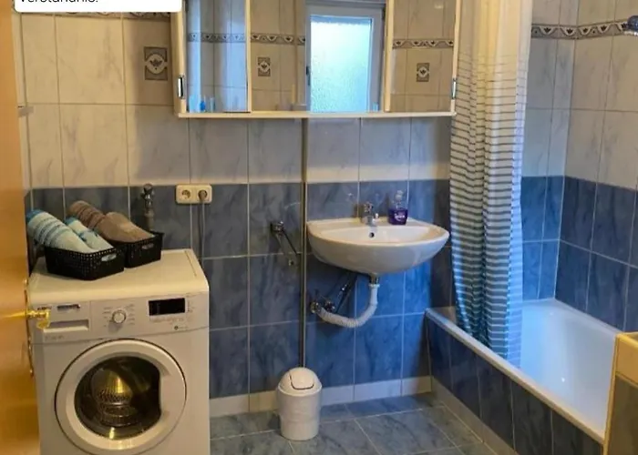 Schoene Grosse Im Mittelrheintal Nahe Loreley Bornich